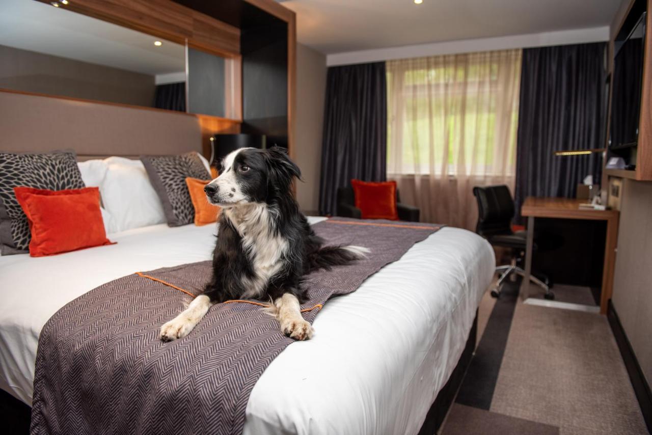 Hotel Crowne Plaza Gerrards Cross By Ihg Beaconsfield Zewnętrze zdjęcie