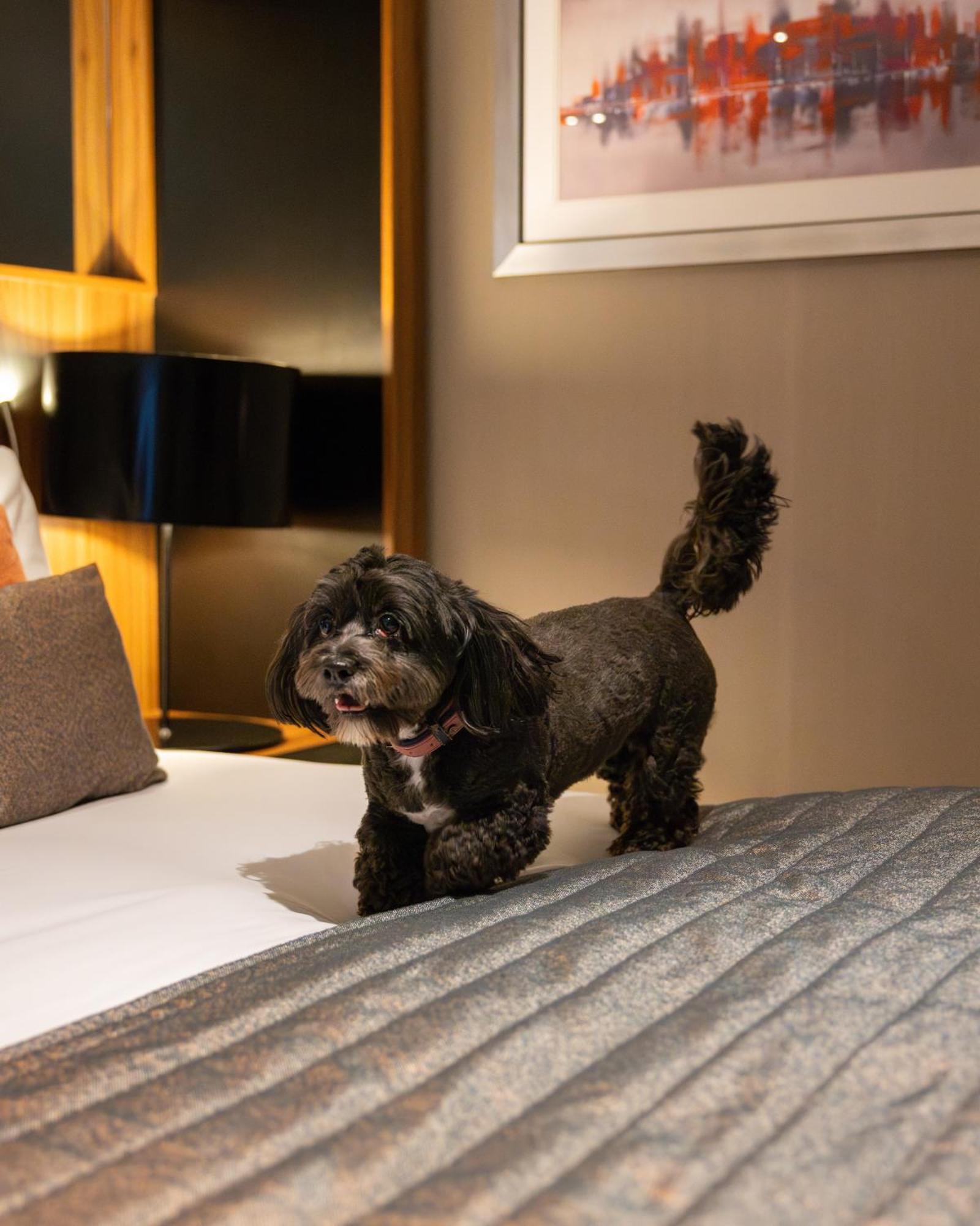 Hotel Crowne Plaza Gerrards Cross By Ihg Beaconsfield Zewnętrze zdjęcie